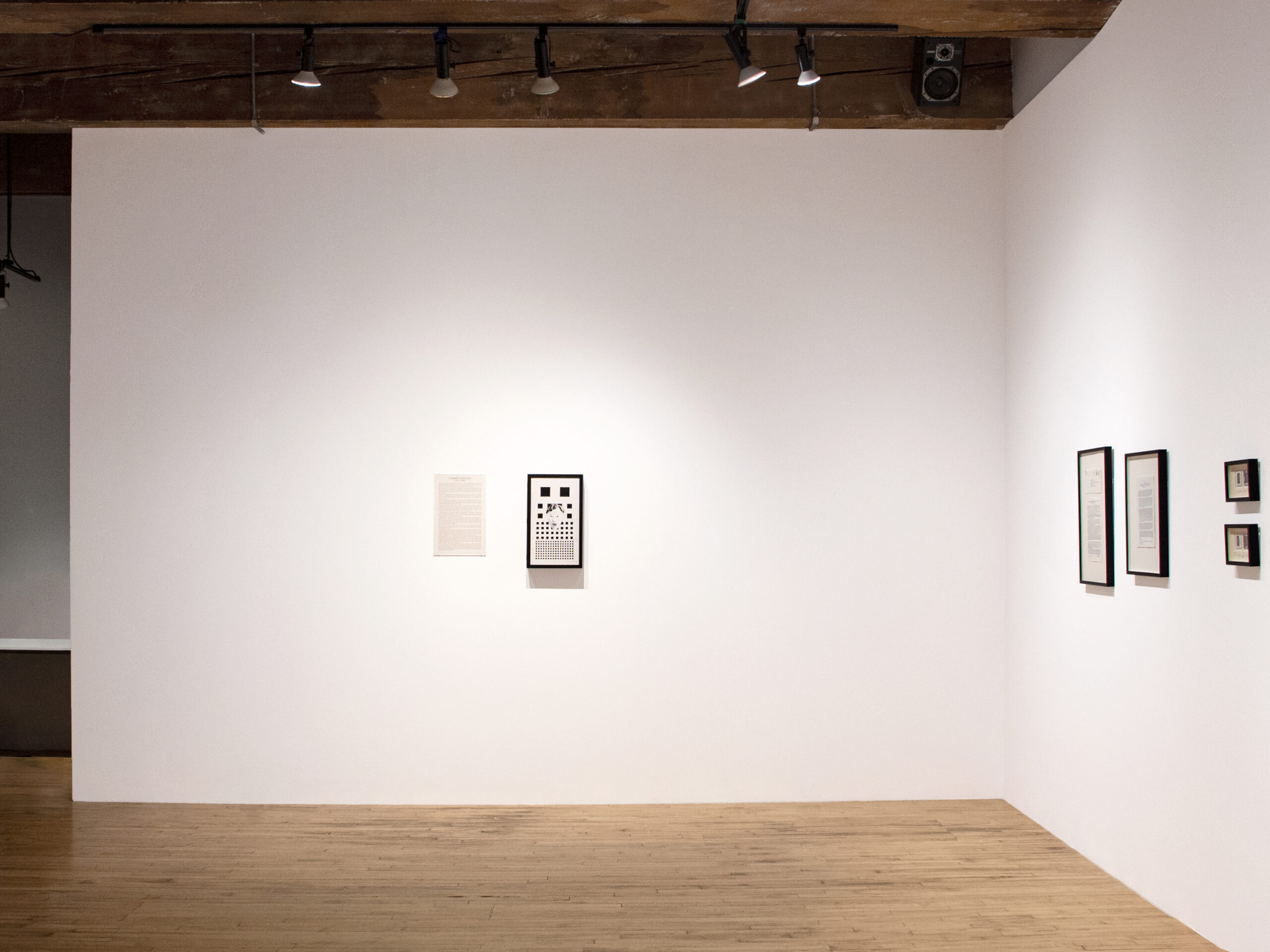 Ron Martin Install 3