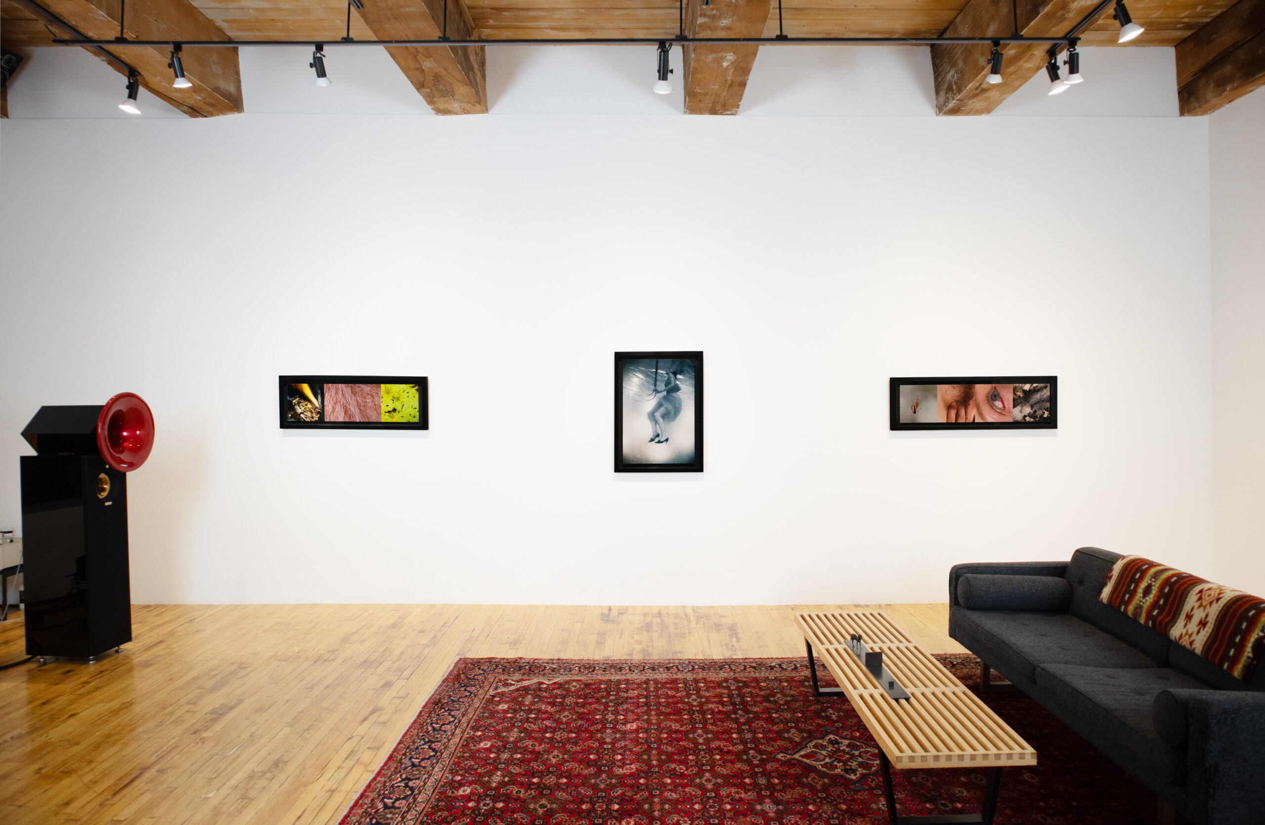 north gallery Image 2